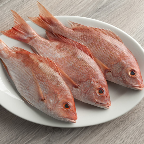 Red Snapper - Whole Uncleaned - Large