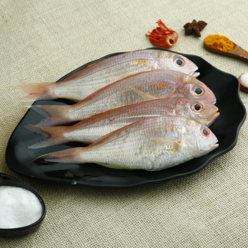 Red Snapper - Whole Uncleaned - Medium