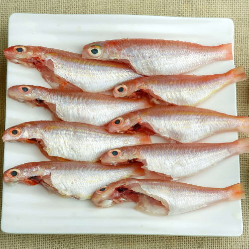 Red Snapper - Cleaned Medium
