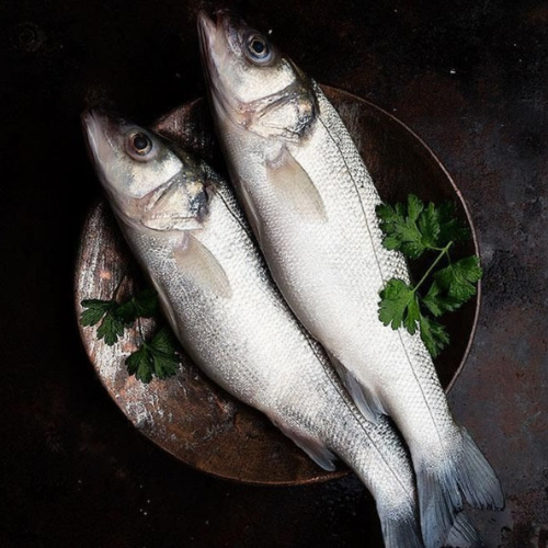 Indian Salmon - Whole Uncleaned