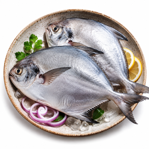 Black Pomfret - Whole Uncleaned