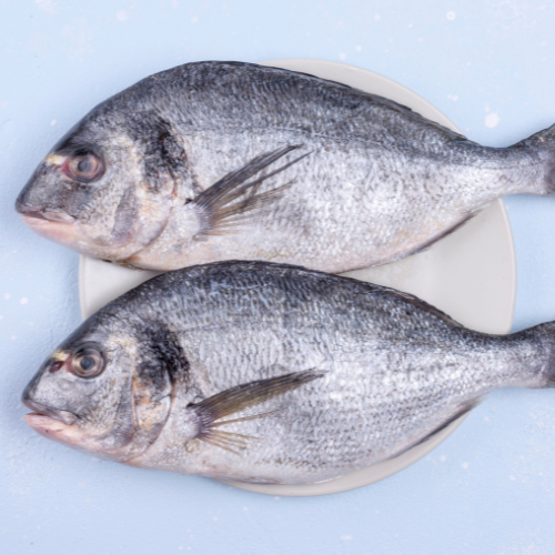 Black Pomfret - Whole Uncleaned
