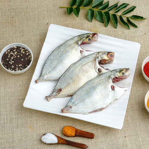 Trevally - Medium uncleaned