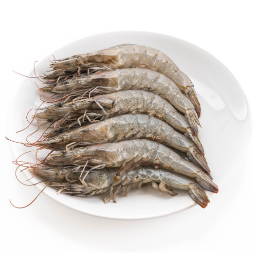 Tiger Prawns
