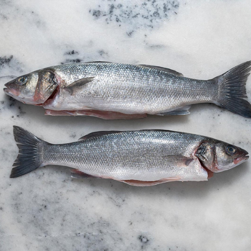 Sea Bass - Whole Uncleaned